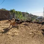 Eco Holidays House Races Apartman