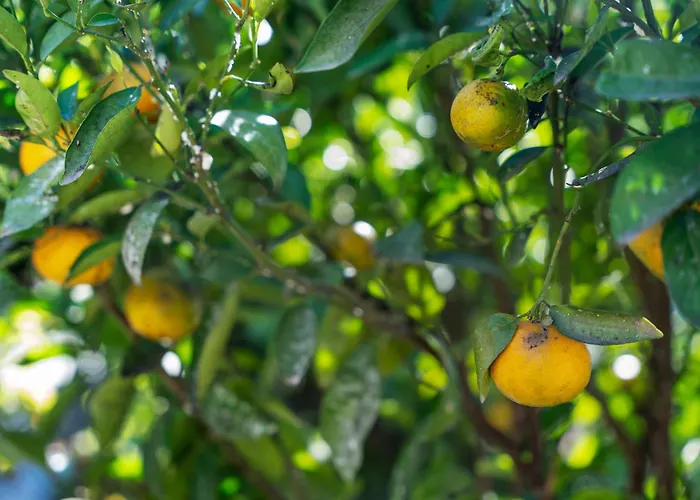 Apartamento Eco Holidays House Races *