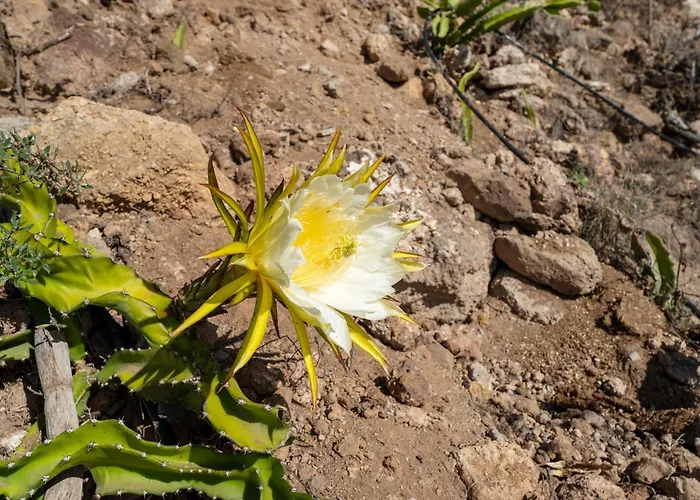 Eco Holidays House Races Apartamento *