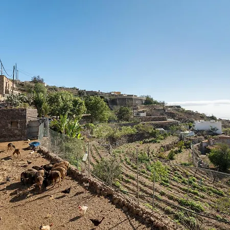 Eco Holidays House Races דירה *