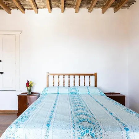 Eco Holidays House Races Lejlighed Fasnia