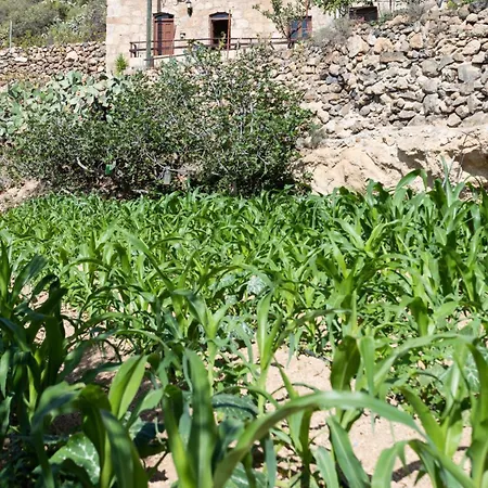 Lejlighed Eco Holidays House Races *