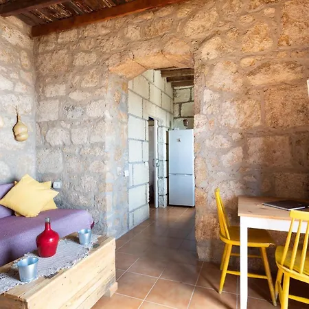 Eco Holidays House Races *