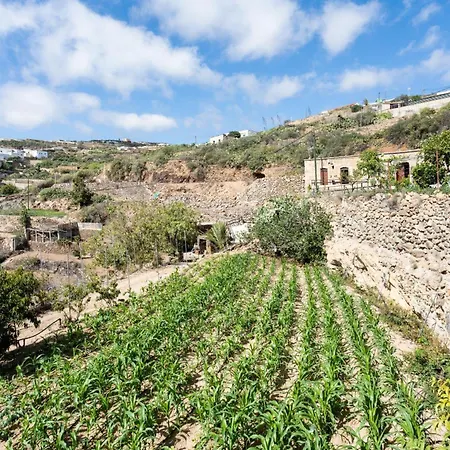 Eco Holidays House Races Lejlighed *