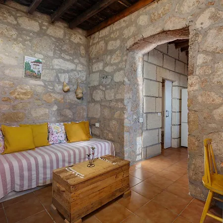 Eco Holidays House Races *