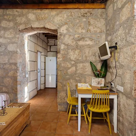 Eco Holidays House Races