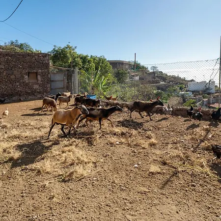 Eco Holidays House Races Lejlighed