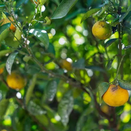 Lejlighed Eco Holidays House Races *