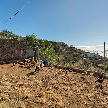 Eco Holidays House Races * Fasnia