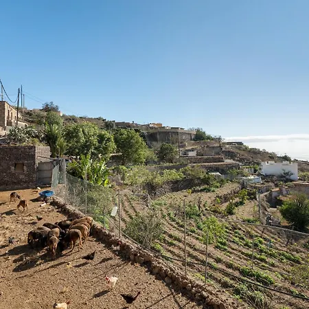 Eco Holidays House Races דירה *