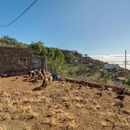 Eco Holidays House Races דירה *