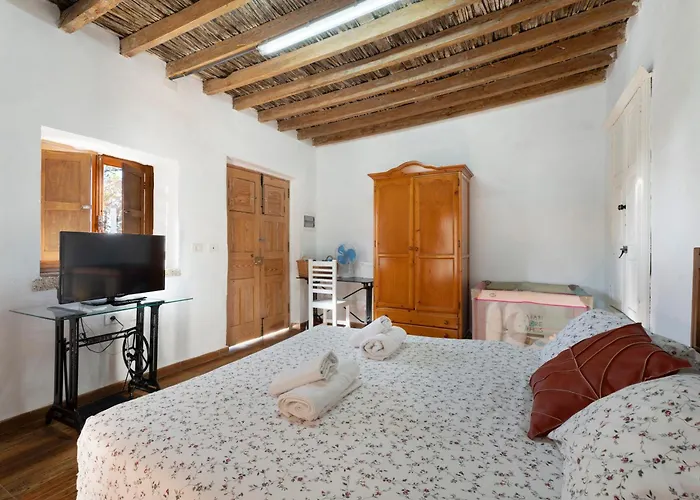 Eco Holidays House Races *