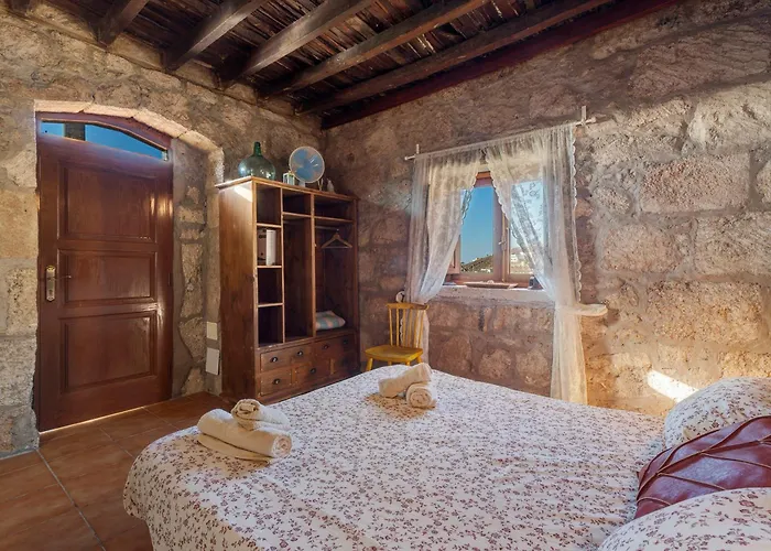 Eco Holidays House Races