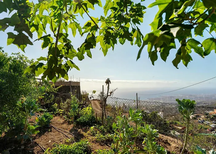 Eco Holidays House Races アパート Fasnia