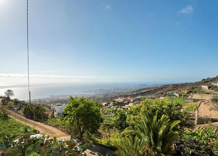 Eco Holidays House Races *